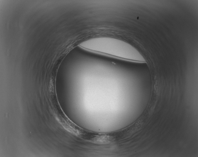 X0000085820459200703161100