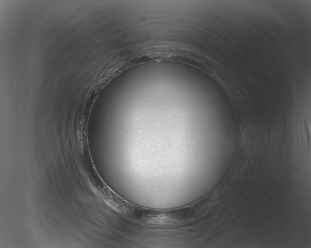 X0000085820460200703161100