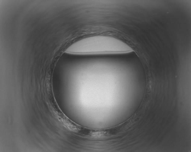 X0000085820461200703161100