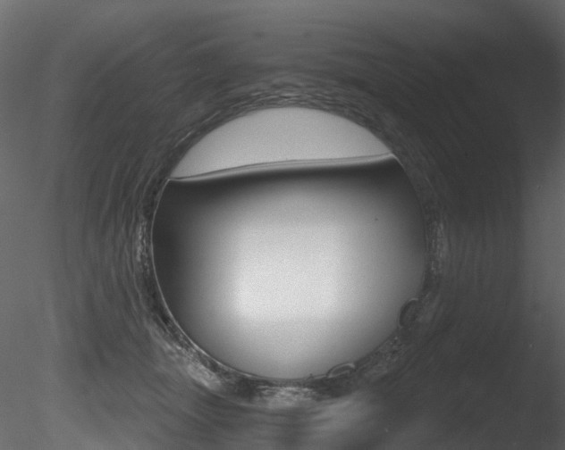 X0000085820463200703161100