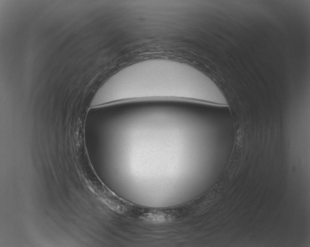 X0000085820464200703161100