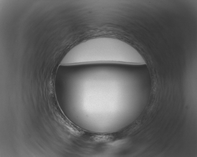 X0000085820465200703161100