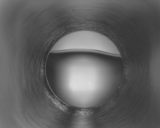 X0000085820466200703161100