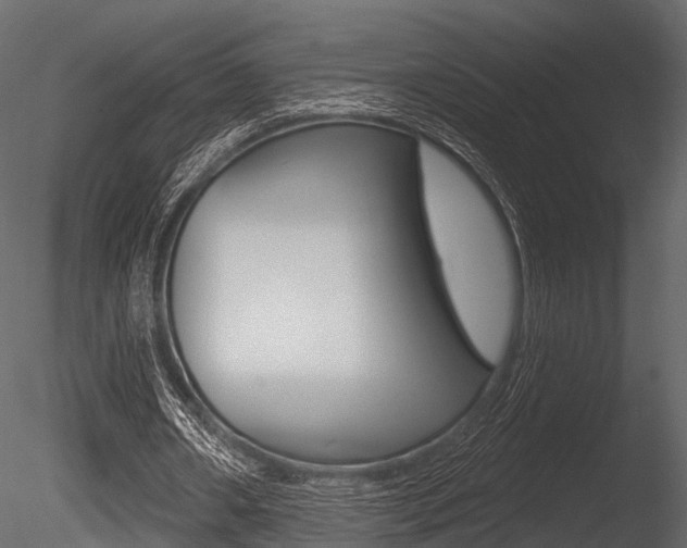 X0000085820482200703161100