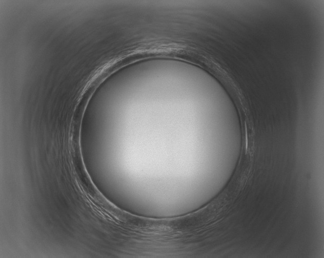 X0000085820483200703161100