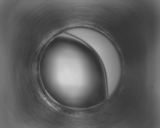 X0000085820485200703161100