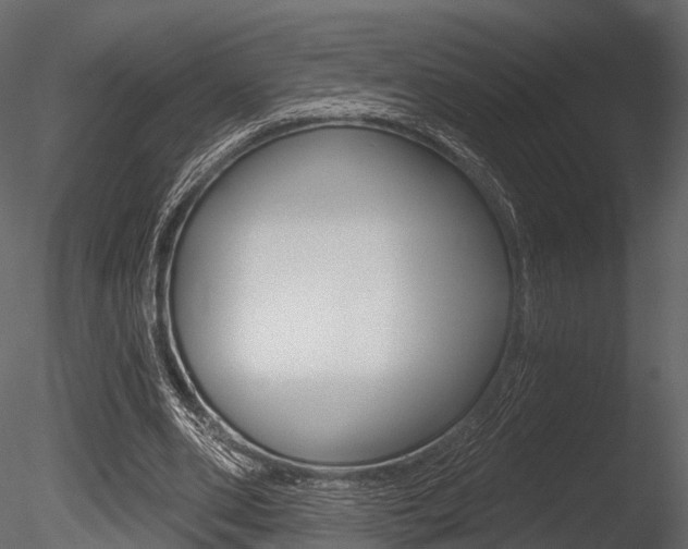 X0000085820486200703161100