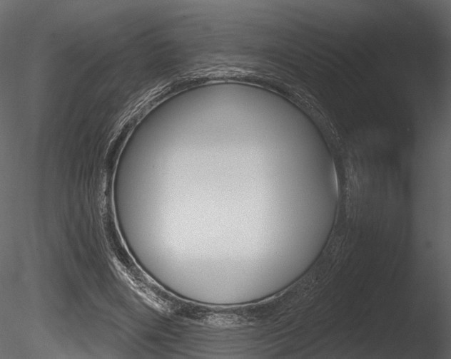 X0000085820490200703161100