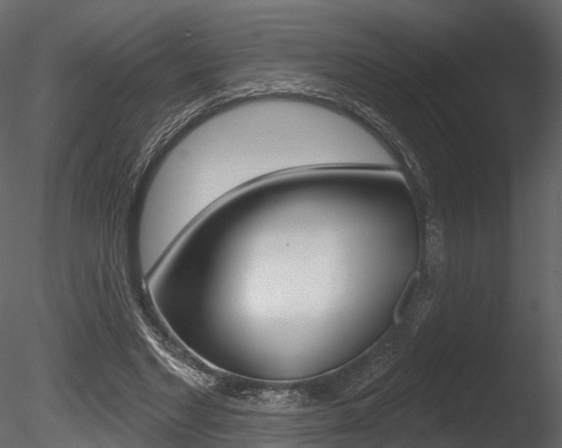 X0000085820493200703161100