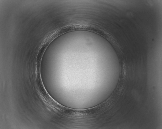 X0000085820494200703161100