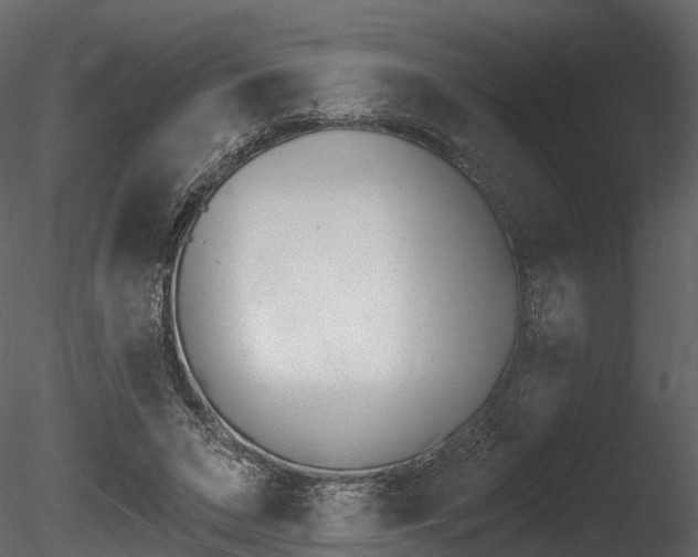 X0000085820495200703161100