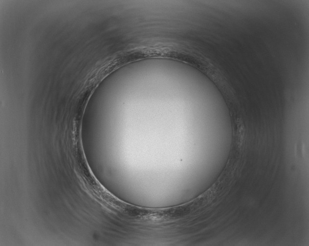 X0000085820498200703161100
