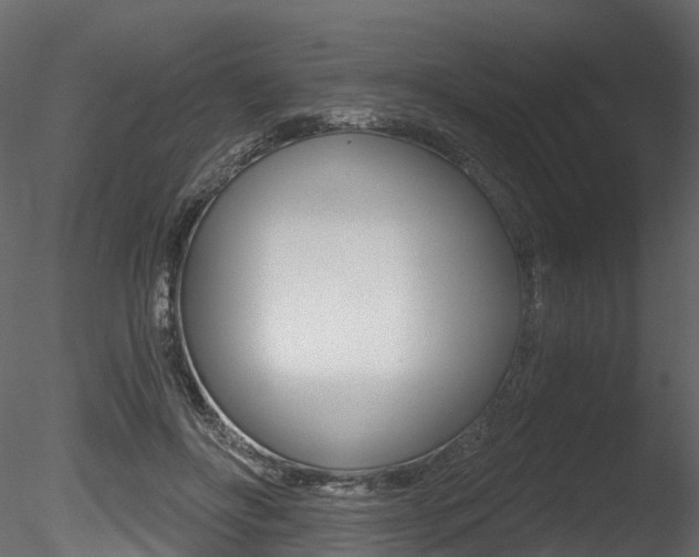 X0000085820502200703161059