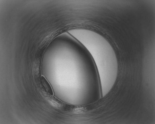 X0000085820505200703161059