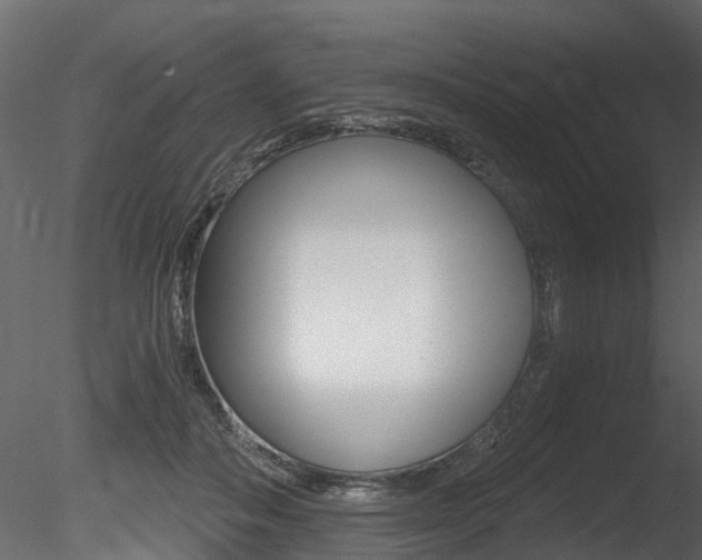 X0000085820506200703161059