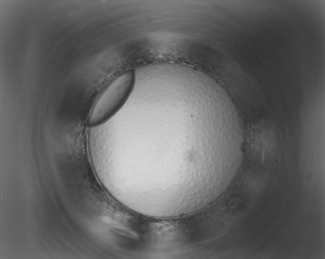 X0000085820511200703161059