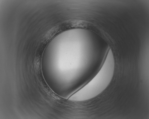 X0000085820513200703161059