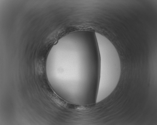 X0000085820515200703161059