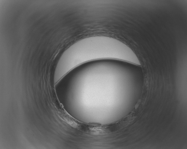 X0000085820516200703161059