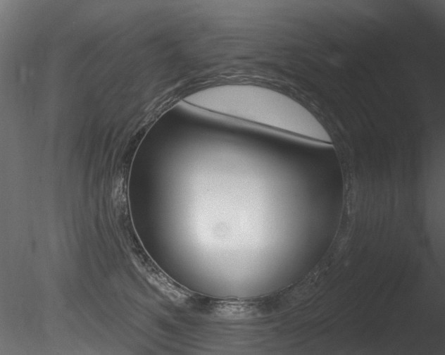 X0000085820521200703161059