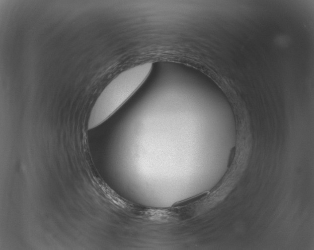 X0000085820528200703161059