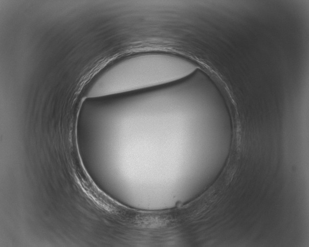 X0000085820533200703161058