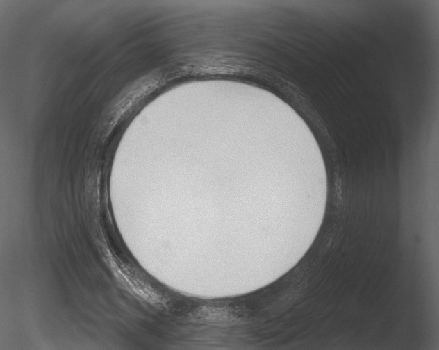 X0000085820534200703161058