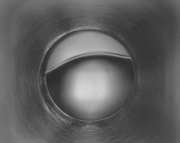 X0000085820536200703161058