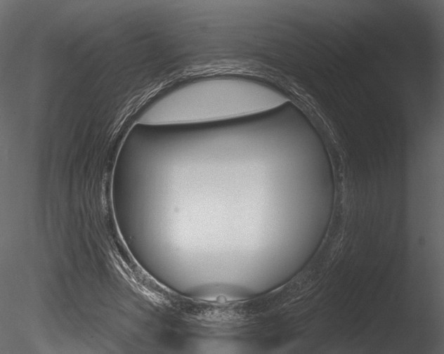 X0000085820537200703161058