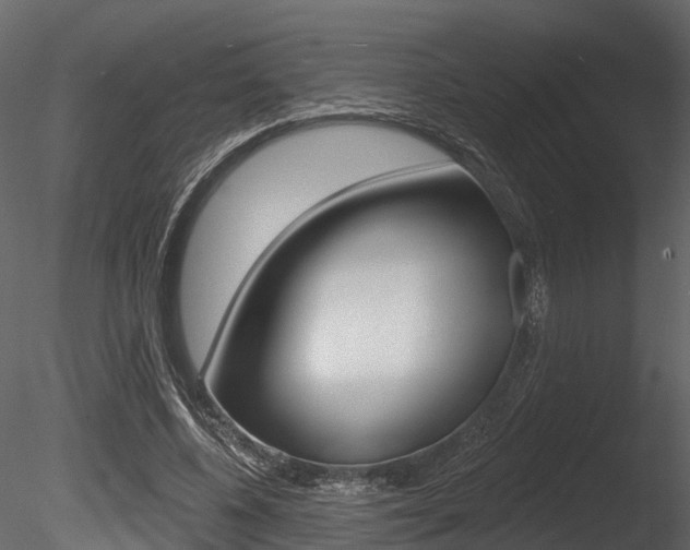 X0000085820540200703161058