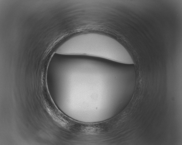 X0000085820542200703161058