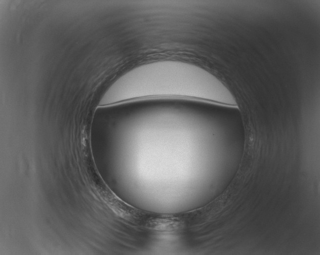 X0000085820555200703161059