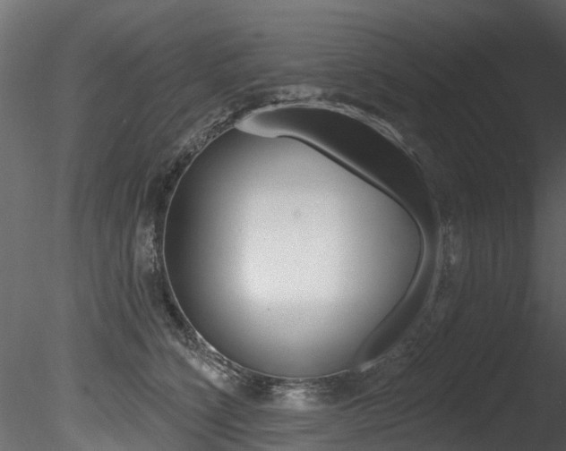 X0000085820564200703161059