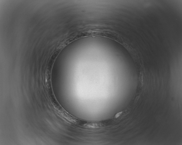 X0000085820567200703161059