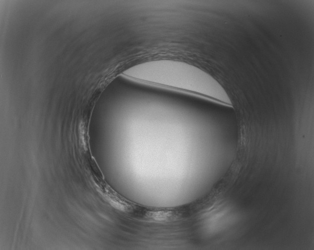 X0000085820575200703161059