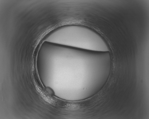 X0000085820582200703161058