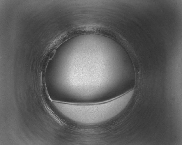 X0000085820589200703161058
