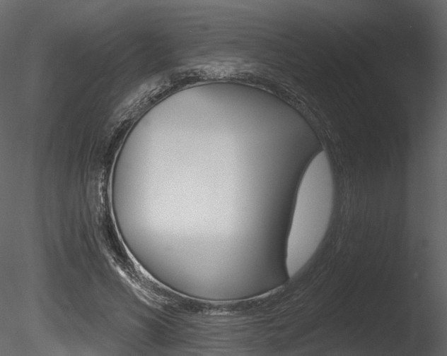 X0000085820590200703161058