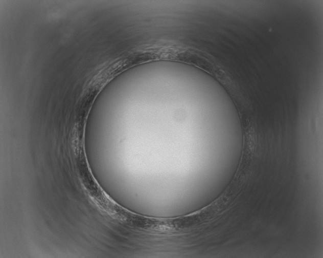 X0000085820594200703161058