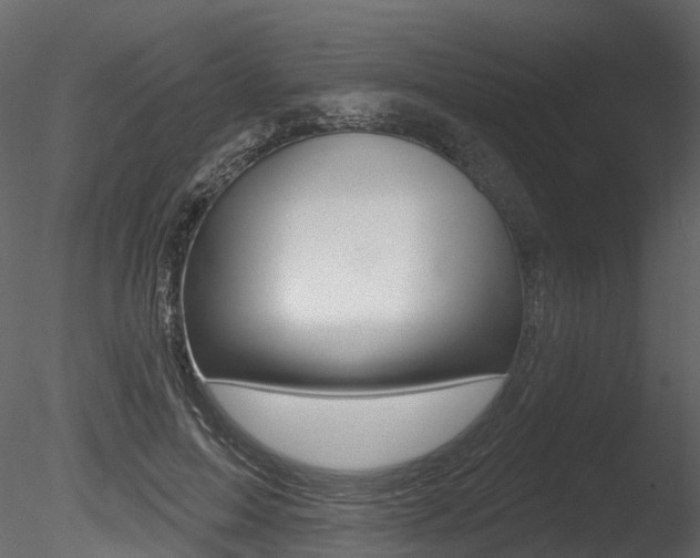 X0000085820599200703161058