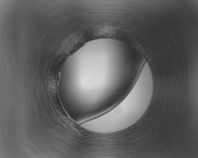 X0000085820617200703161057