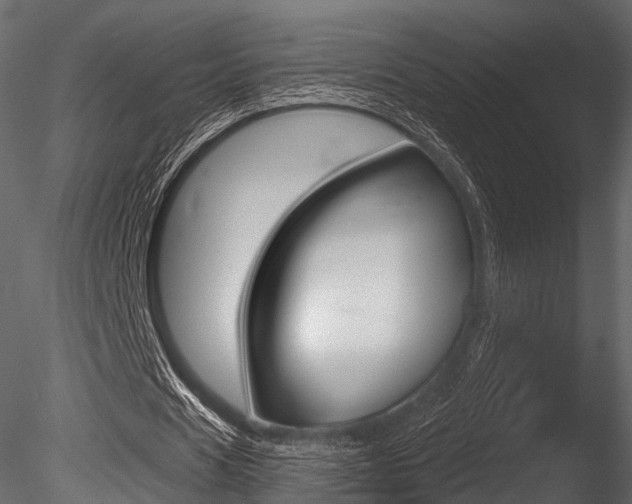 X0000085820625200703161056