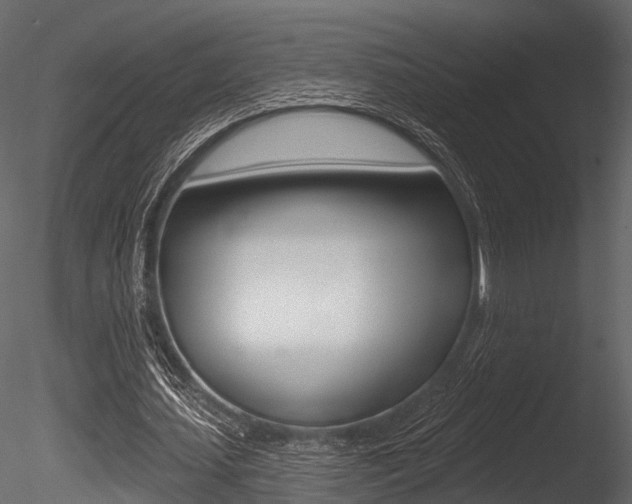 X0000085820627200703161056