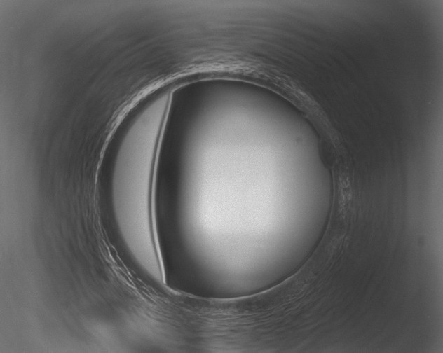 X0000085820628200703161056