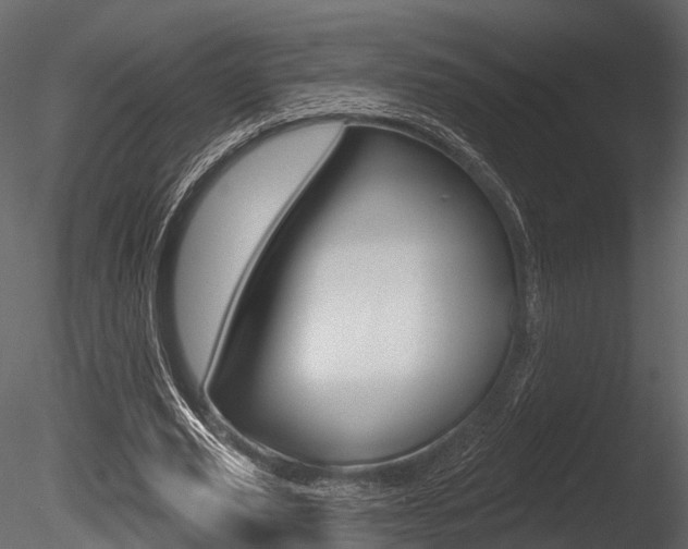 X0000085820629200703161057