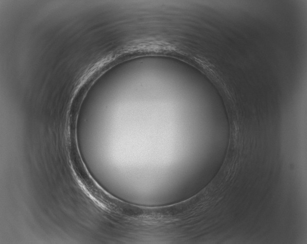 X0000085820630200703161057
