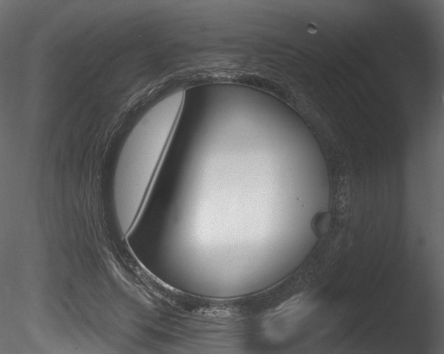 X0000085820639200703161057