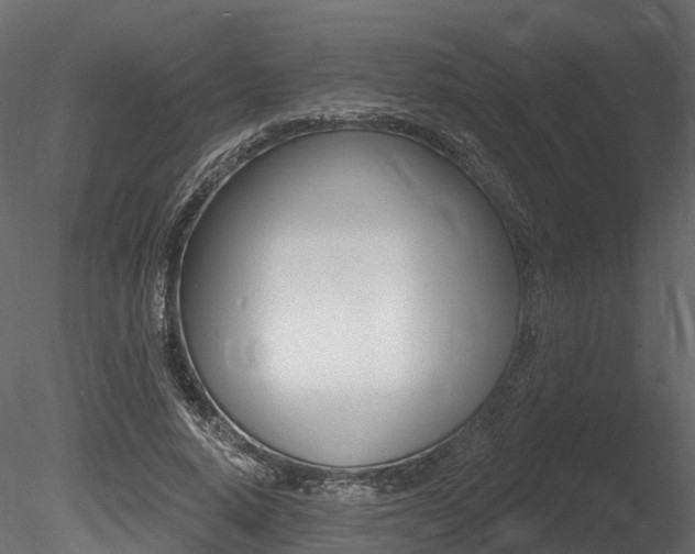 X0000085820640200703161057