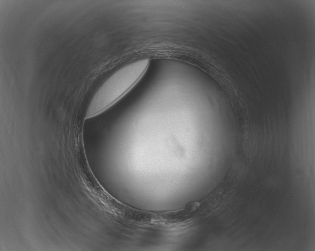 X0000085820641200703161057