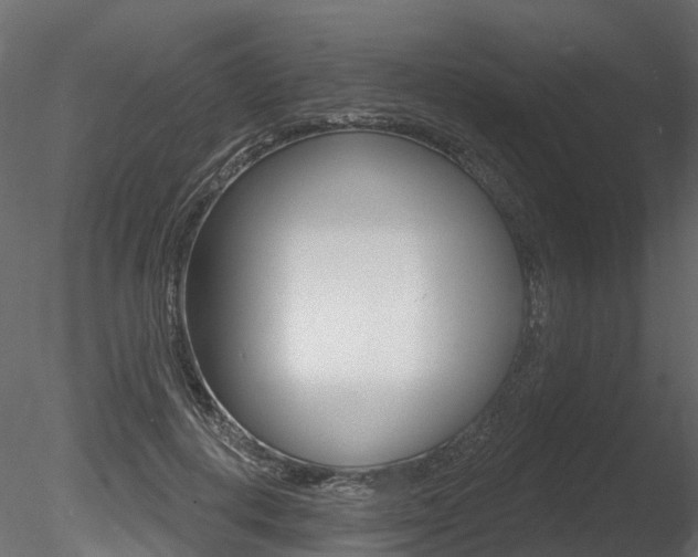 X0000085820648200703161057